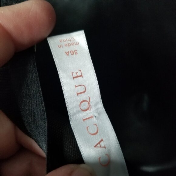 NWT Cacique max boost plunge bra - Picture 2 of 6